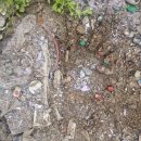 구암마당 이미지