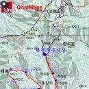 어울림편백펜션 이미지