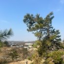 안성휴게소 본관편의점 이미지