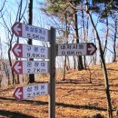 진안군청 표지석 이미지