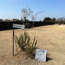 청수리아파트 이미지