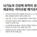 팜라이프 이미지