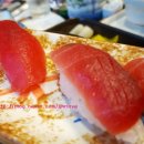 남태평양참치 이미지