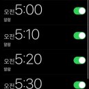 천진낭만 이미지