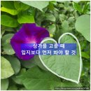 유원부동산중개사무소 이미지