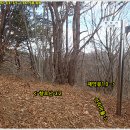 선리마을 Daum카페