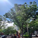 남항체육시설 이미지