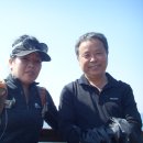 한상모동물병원 Daum카페