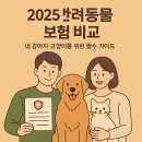 내 강아지 이미지