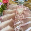 반포대로22길 100 | 변리사 1차 후기 - 수업소개와 공부방법