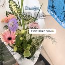 미니케이크샵 minicake.shop(작은케이크가게) | [방문후기] 대구 교동 삼덕동 감각적인 꽃집 씨소 CSO