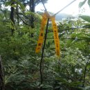 완산-131 Daum카페