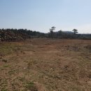 삼인공인중개사사무소 이미지