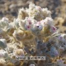 에델바이스민박 네이버블로그