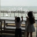 퍼즈269 | 영덕 대가족 숙소 추천 퍼즈269 A+B룸 바베큐 가능 횟집 배달 후기 바다 5초컷