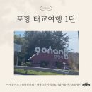 포항시남구30 | [공지] [태교여행/포항] 내돈내산 포항맛집 / 포항남구 일정 / 스페이스워크 후기