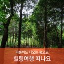 진해만 생태숲 학습관 이미지