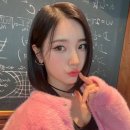앨리스 티스토리