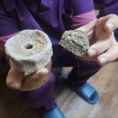 내몸에쑥뜸방 이미지