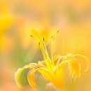 자연건강 - 거창군 공수들1길 51 | 자연건강