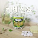 주식회사 수복식품 | 카베진S , SBS모닝와이드에 나온 양배추위장약!