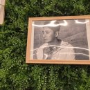 목화정육점 이미지