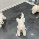 하루미 미용실 이미지