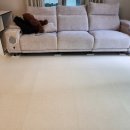 내손중앙로 이미지