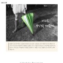 강릉송월타월 송월우산 (가나) 이미지