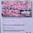 서운산 이미지