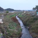 산천초목 이미지