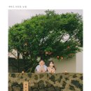 뉴월농장 | [제주/구좌 ]제주 동쪽 스냅 사진 추천 뉴월 스튜디오 내돈내산 후기