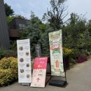 화수목 | 천안 가볼만한곳 아름다운정원 화수목 후기 🌸 화수목베이커리까지!