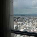 더블루 제주 이미지