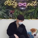 리츠펫 서산호수공원점 이미지