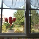 초록마을펜션민박 이미지