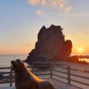 거북바위로 이미지