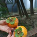 길음뉴타운7단지제2경로당 | 길음뉴타운 2단지 푸르지오 —길음동 대표 학군 단지 분석