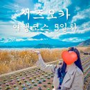 청운카 정비나라 | 시즈오카 렌트카 여행 5일차 가와구치코를 떠나 공항으로