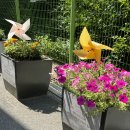 학마을 작은도서관 이미지