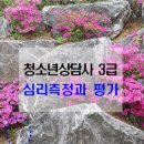 청소년상담사 3급 - 심리측정 및 평가 이미지