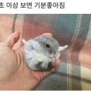나인카페 이미지