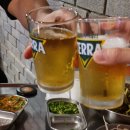 대봉동 맛집 구워주는 33돼지/삼삼돼지 대봉점 육즙 가득 후기(feat 빔프로젝트)