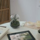 테라리움A 이미지