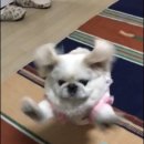 베스트마켓 이미지