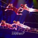 알레그리아 이미지