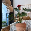 꿈길 | [ 광주대학교 ] 꿈길 진로직업체험