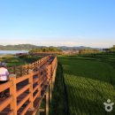 느린미학 이미지