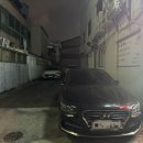 파스쿠찌울산보람 이미지