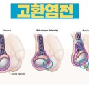 베스트비뇨기과 이미지